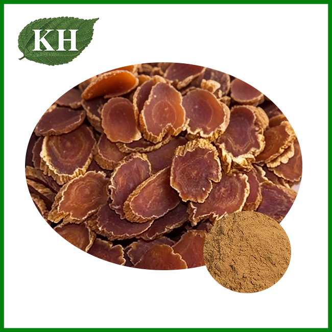 Korean Ginseng Extract